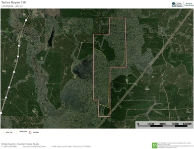 Saline Bayou 310 - Land for Sale Bienville Parish, LA - image 48