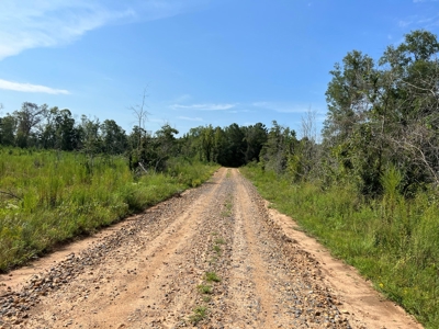 Saline Bayou 310 - Land for Sale Bienville Parish, LA - image 41