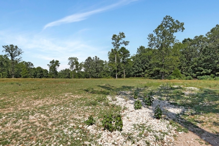 Arena, Horse Property or Income Producing Property - image 27