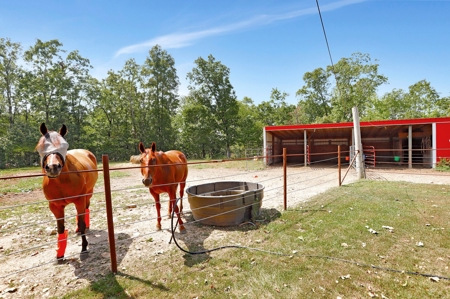 Arena, Horse Property or Income Producing Property - image 34