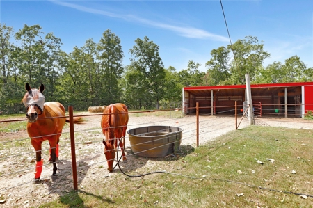 Arena, Horse Property or Income Producing Property - image 33