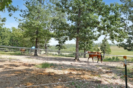 Arena, Horse Property or Income Producing Property - image 25