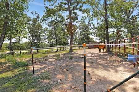 Arena, Horse Property or Income Producing Property - image 26