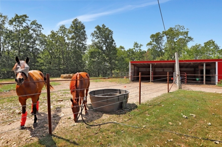 Arena, Horse Property or Income Producing Property - image 32