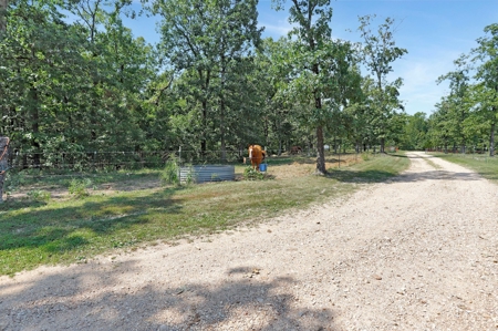 Arena, Horse Property or Income Producing Property - image 28