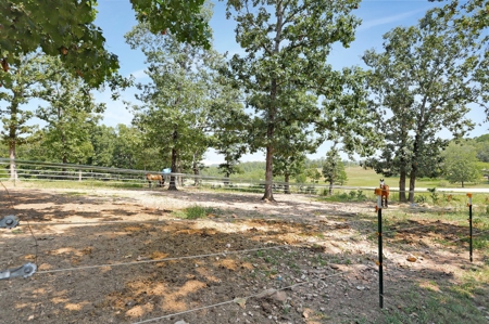 Arena, Horse Property or Income Producing Property - image 24