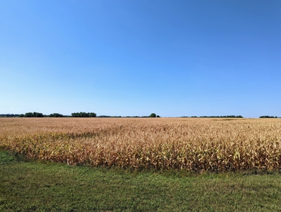 Live Land Auction - 132 Acres Ag Land, Marion County, Kansas - image 6