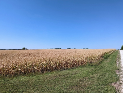Live Land Auction - 132 Acres Ag Land, Marion County, Kansas - image 4