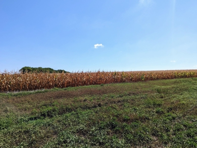 Live Land Auction - 132 Acres Ag Land, Marion County, Kansas - image 8