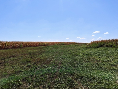 Live Land Auction - 132 Acres Ag Land, Marion County, Kansas - image 5