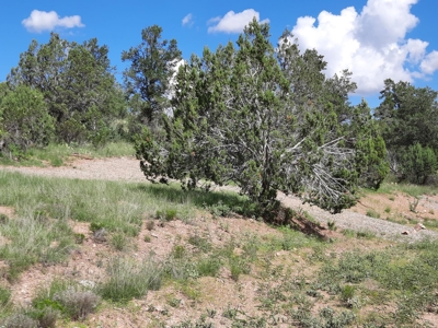 Very Secluded - image 13