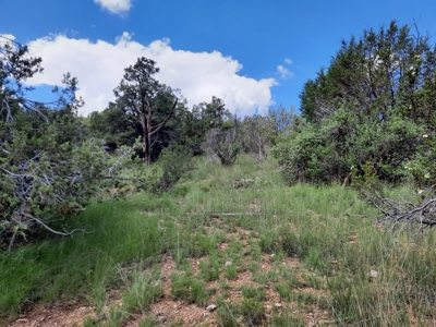 Very Secluded - image 9