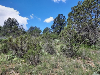 Very Secluded - image 7