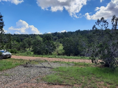 Very Secluded - image 8