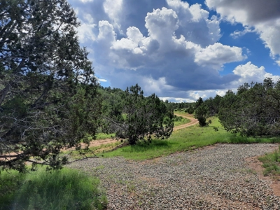 Very Secluded - image 1