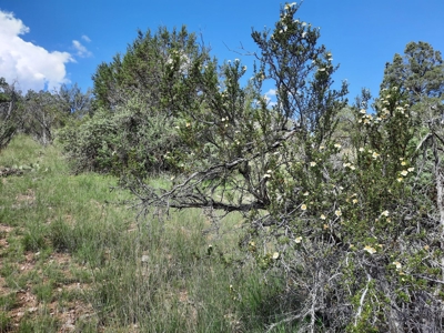 Very Secluded - image 10