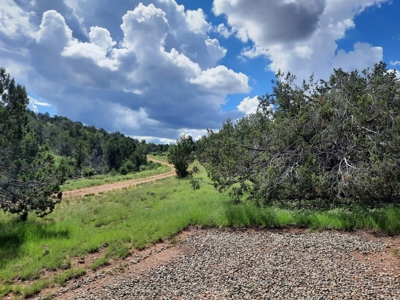 Very Secluded - image 3