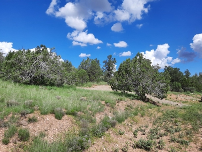 Very Secluded - image 12