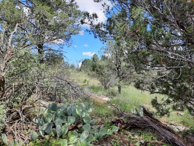 Very Secluded - image 6