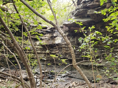 22 Acre Poteau Mountain Recreational Property - image 10