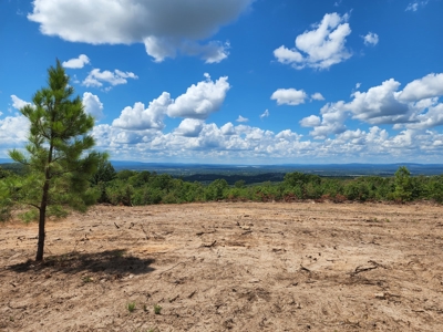 22 Acre Poteau Mountain Recreational Property - image 5