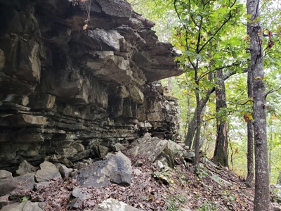22 Acre Poteau Mountain Recreational Property - image 11