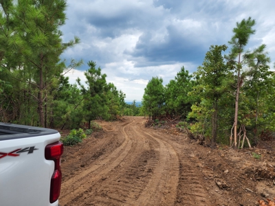 22 Acre Poteau Mountain Recreational Property - image 6