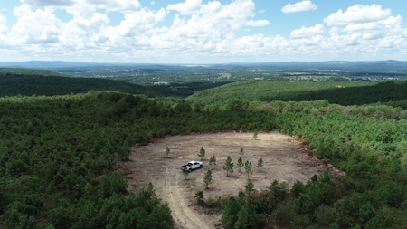 22 Acre Poteau Mountain Recreational Property - image 2