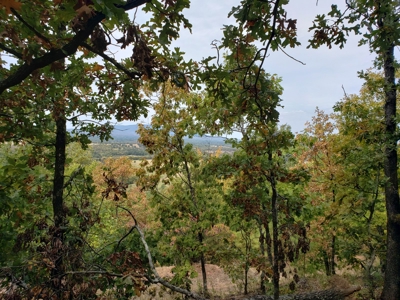 22 Acre Poteau Mountain Recreational Property - image 17