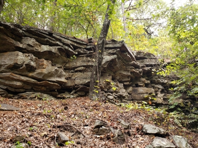 22 Acre Poteau Mountain Recreational Property - image 9