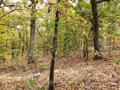 22 Acre Poteau Mountain Recreational Property - image 15