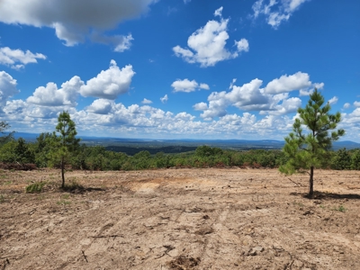 22 Acre Poteau Mountain Recreational Property - image 3