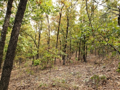 22 Acre Poteau Mountain Recreational Property - image 16