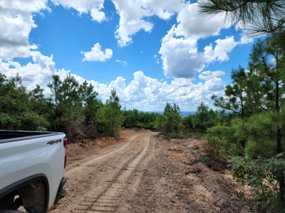 22 Acre Poteau Mountain Recreational Property - image 4