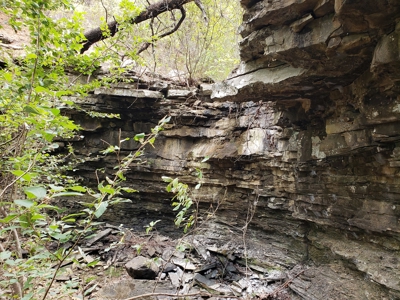 22 Acre Poteau Mountain Recreational Property - image 13