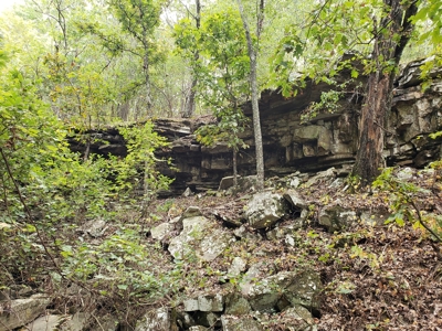 22 Acre Poteau Mountain Recreational Property - image 8