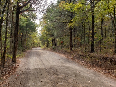 22 Acre Poteau Mountain Recreational Property - image 14