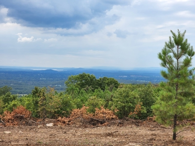 32 Acre Poteau Mountain Homestead Property - image 3