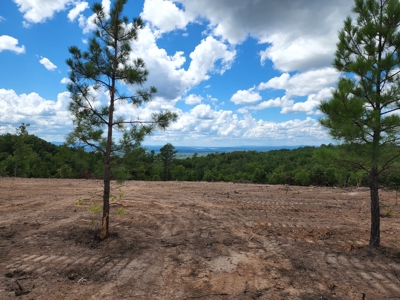 32 Acre Poteau Mountain Homestead Property - image 7