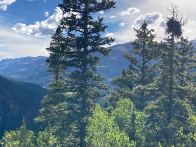 Mountain Home For Sale, Ouray, Colorado - image 23