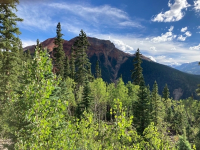Mountain Home For Sale, Ouray, Colorado - image 9