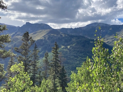 Mountain Home For Sale, Ouray, Colorado - image 22