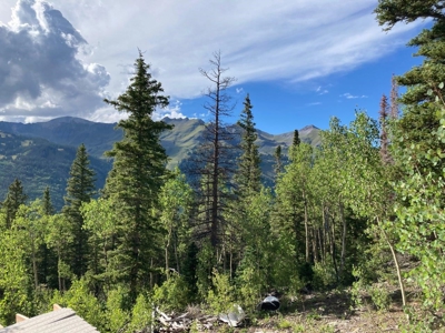 Mountain Home For Sale, Ouray, Colorado - image 10