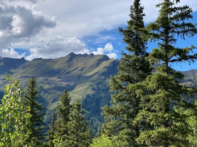 Mountain Home For Sale, Ouray, Colorado - image 21