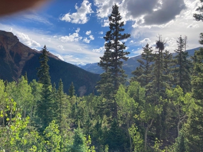 Mountain Home For Sale, Ouray, Colorado - image 11