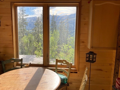 Mountain Home For Sale, Ouray, Colorado - image 15