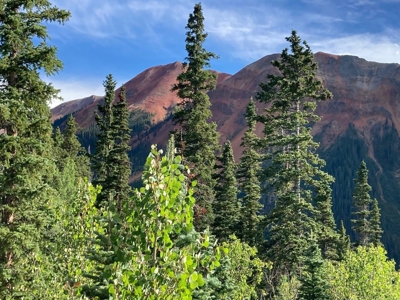 Mountain Home For Sale, Ouray, Colorado - image 20