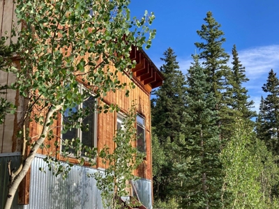 Mountain Home For Sale, Ouray, Colorado - image 19