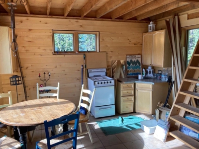 Mountain Home For Sale, Ouray, Colorado - image 16