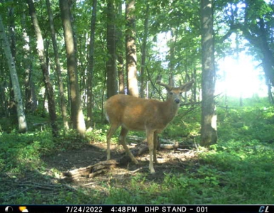 Rare 87 Acre Private Retreat with a Trout Stream - image 50